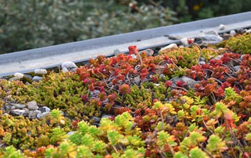 the cost of Ilketshall St Margaret green roof installation