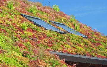 Ilketshall St Margaret living roof systems