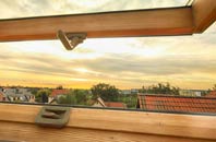 rated Ilketshall St Margaret roof window companies